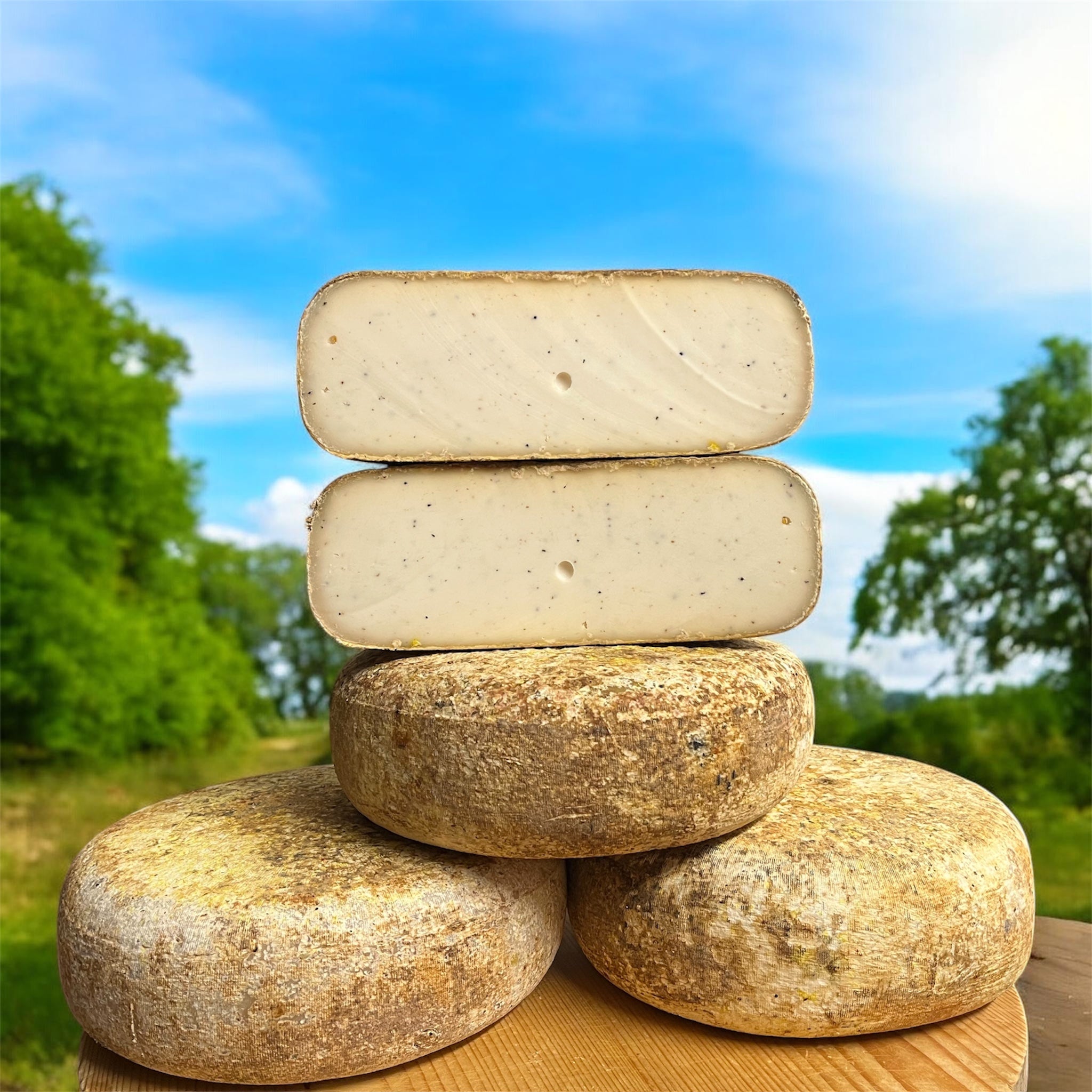 Perla di capra al tartufo