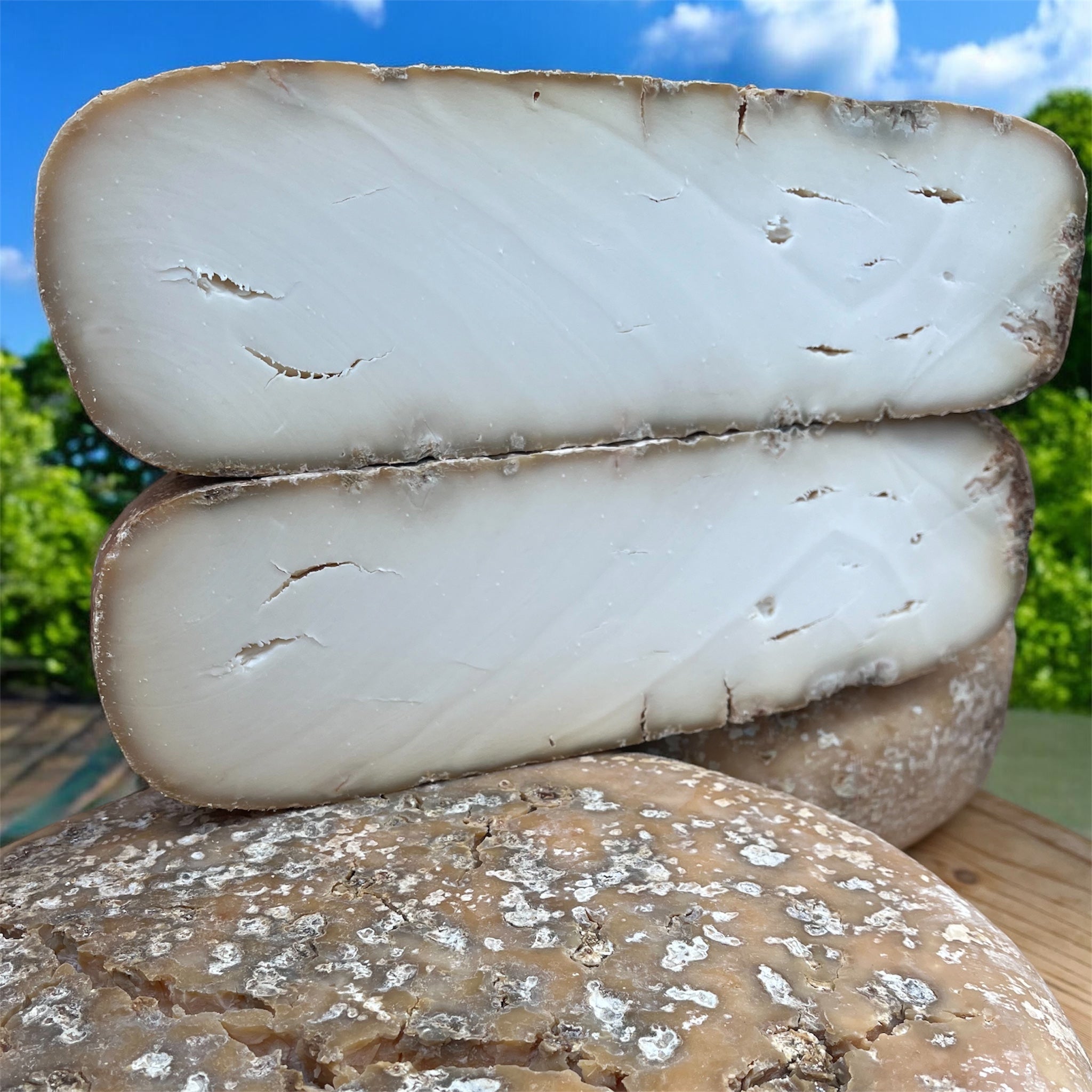 Eccellenza pura capra